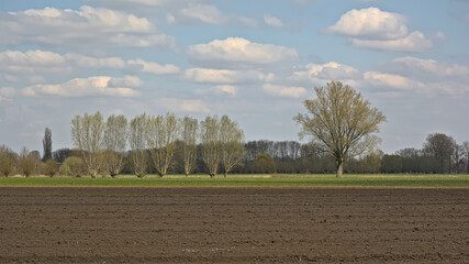 Ploughed field ready for sawing and lush green meadow with willow trees near Eeklo, Flanders, Belgium 