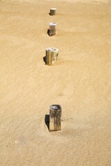 杭がデザイン的な砂浜