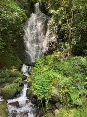 waterfall in the forest