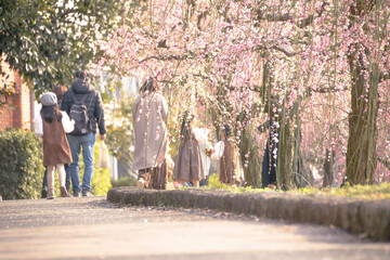 family walking in park