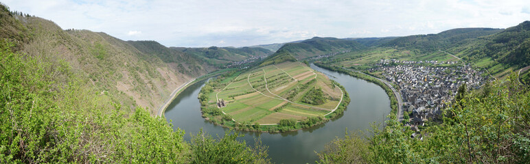  loop of Moselle River with vineyards near  near the village of Bremm                             
