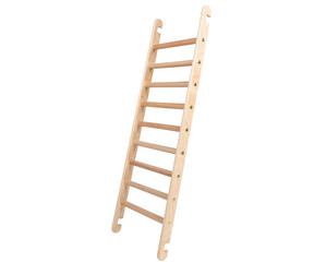 Image of Ladder