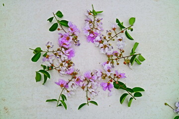 Frame of flowers 