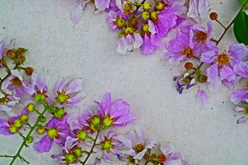 flowers on the wall