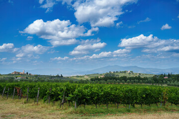 Fototapeta na wymiar Rural landscape of Chianti, Tuscany, Italy