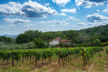 Naklejka premium Rural landscape of Chianti, Tuscany, Italy