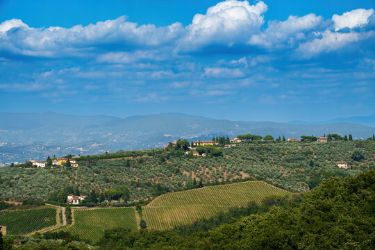 Rural landscape of Chianti, Tuscany, Italy