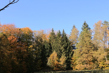 Schöner Herbsttag in den Wäldern bei Hohnstein in der Sächsischen Schweiz	 - obrazy, fototapety, plakaty