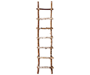 Image of Ladder