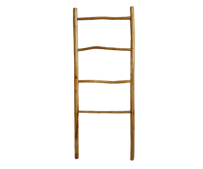 Image of Ladder
