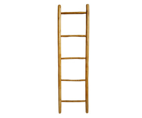 Image of Ladder