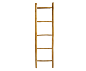 Image of Ladder
