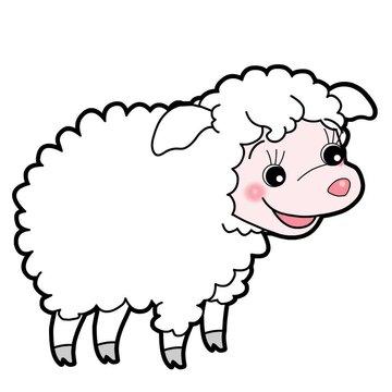 sheep cartoon vector style motion