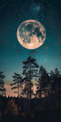 Fototapeta na wymiar Moonlit Forest Nightscape: A Celestial Showcase Above the Trees