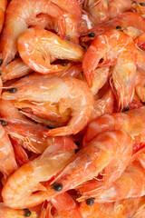 Shrimps background texture. A lot of shrimps. Cooked shrimps.