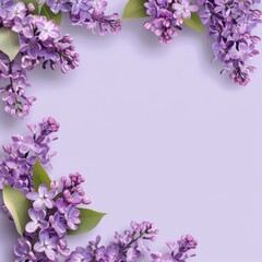 Purple Lilac Flowers Bordering a White Background - A delicate arrangement of purple lilac flowers creating a lovely border on a clean white background