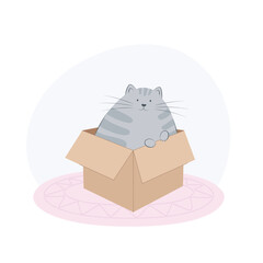 Cute grey cat sits in a cardboard box. Flat vector illustration of a pet