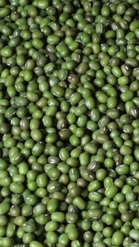 Close-up of organic natural dried green mung beans (Vigna radiata), also known as green gram or maash beans rotating on a plate. Concept of healthy lifestyle, vegetarian or vegan food diet.