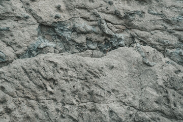 Close Up of a Rock Wall With Small Cracks