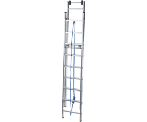 Image of Ladder