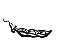 mature long open soybean or pea pod sketch line vector illustration.