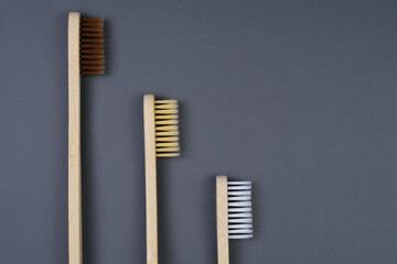 Three  Toothbrushes Side by Side.Health Care, Stomatology banner 