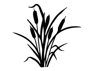 Cattail silhouette vector art white background