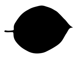 Leaf silhouette vector art white background