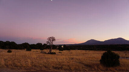 Colorado Sunset Over the Mountain with a Trees and a Few Clouds