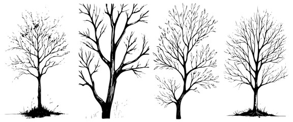 Four trees are shown in black and white. The trees are all different sizes and are all in different positions. The trees are all lined up next to each other, creating a sense of unity - obrazy, fototapety, plakaty