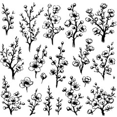 A black and white drawing of many different types of flowers. The flowers are drawn in a stylized way, with some appearing to be more delicate than others