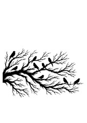 Naklejka premium Birds on Branches svg, Flock of Birds SVG, Birds SVG, Silhouette, Birds Cut File, Cricut, Branch svg, Bird on a Tree Branch