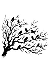 Birds SVG, Bird on Branches SVG, Feathers, Branches SVG, Birds Silhouette, Bird Cricut, Bird Clipart