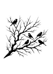 Birds SVG, Bird on Branches SVG, Feathers, Branches SVG, Birds Silhouette, Bird Cricut, Bird Clipart