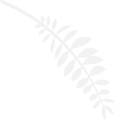 Shadow of a coconut leaf. On transparent, png. Shadow of tropical leaves. For summer decor. Jungle, sale, vacation