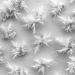 Ice crystals forming on a surface, focusing on the intricate patterns and the way light reflects and refracts through them