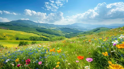 Tuinposter An idyllic countryside landscape featuring rolling hills covered in lush greenery and colorful wildflowers, under a clear sunny sky, offering plenty of space for business messaging. © Filip