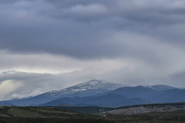 Nature is incredible 🍂