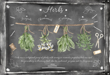 Watercolor blackboard with herbs illustration, hand drawn spices, herbs and kitchen utensil frame clipart. Healthy food clip art - 780597251