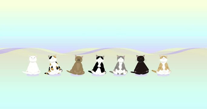 マインドフルネス猫　瞑想する7匹の猫