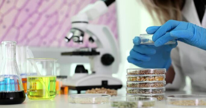 Scientist examining plant grains and new varieties in chemical laboratory closeup 4k movie slow motion. Production of new fertilizers and pesticides concept 