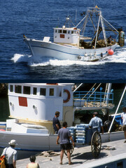 Ein Fischkutter kehrt mit gutem Fang zur&uuml;ck in den Hafen - Mallorca, Spanien