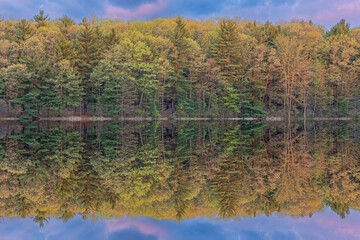 Spring landscape of Hall Lake at dawn with mirrored reflections in calm water, Yankee Springs State Park, Michigan, USA