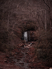 Waterfall in the forest 