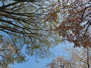 Obraz premium What are the evidence of spring?