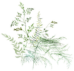 Bouquet with Watercolor fern twigs with green leaves isolated illustration, botanical wedding