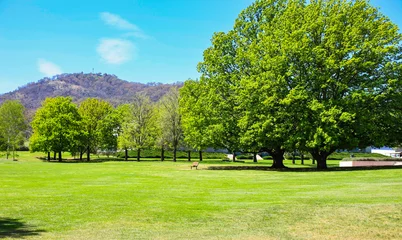 Fotobehang Spring time in Canberra, Australia close to Mount Ainslie. © kraskoff