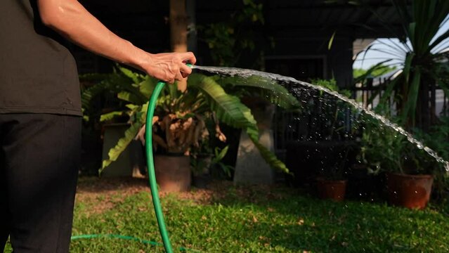 During the spring, trees need a lot of water.