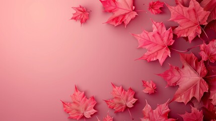 An pink background decorated with lively maple leaves creates a warm and inviting atmosphere. Reminiscent of the cozy atmosphere of autumn. With plenty of space for text