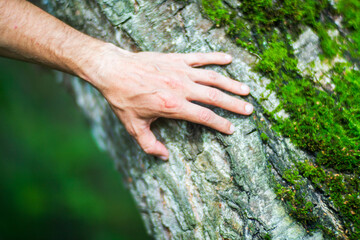A man's hand touch the tree trunk close-up. Bark wood.Caring for the environment. The ecology concept of saving the world and love nature by human
